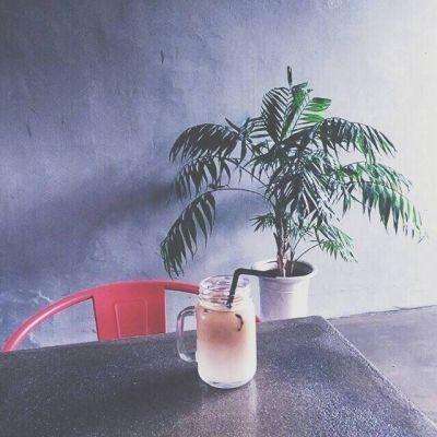 仙宝奇缘bt版下载